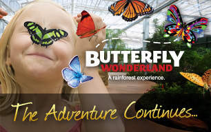 The Adventure Continues at Butterfly Wonderland!